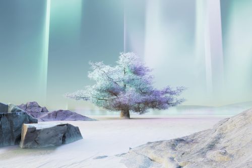 blog-3